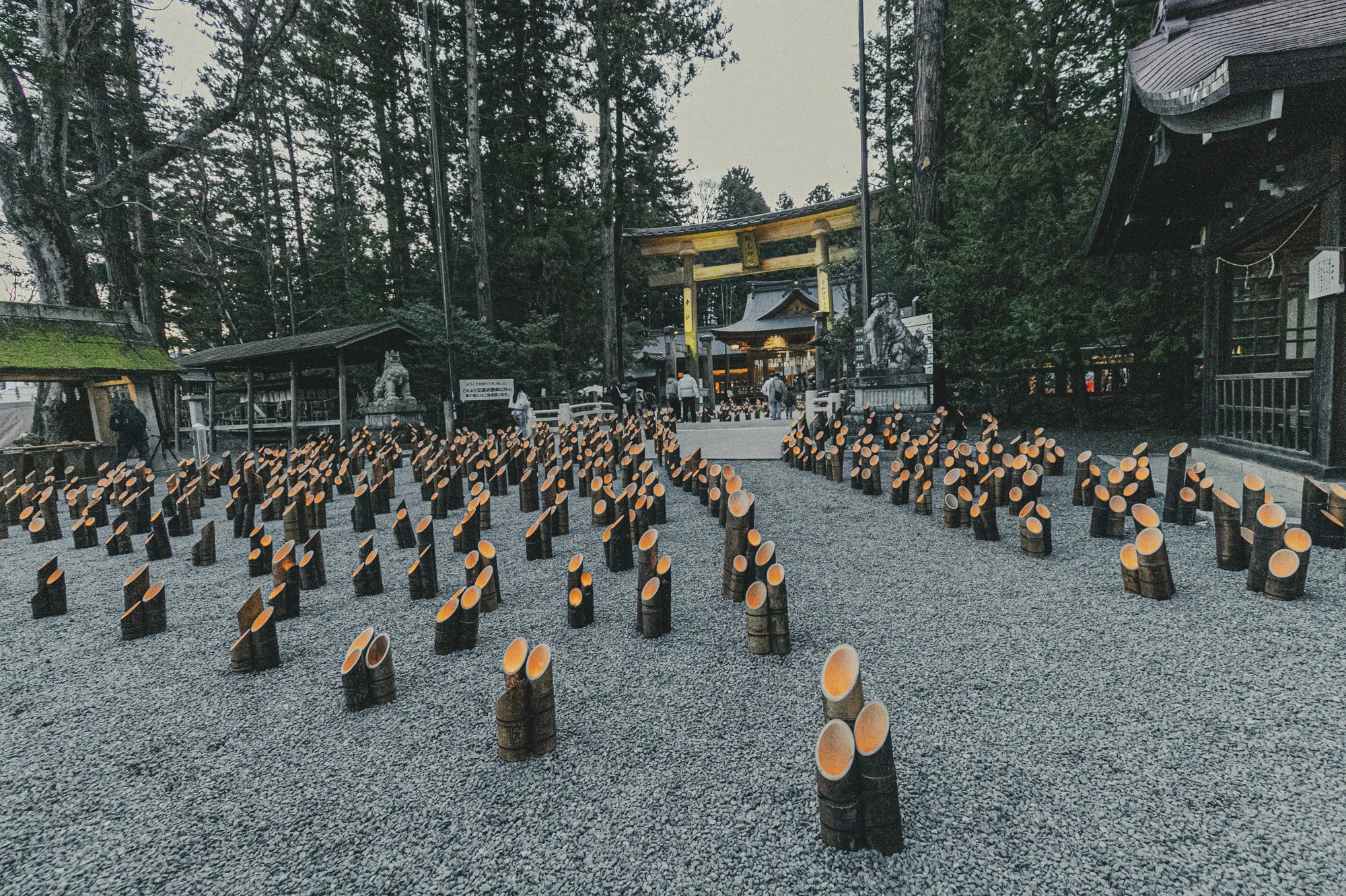 穂高神社 神竹灯