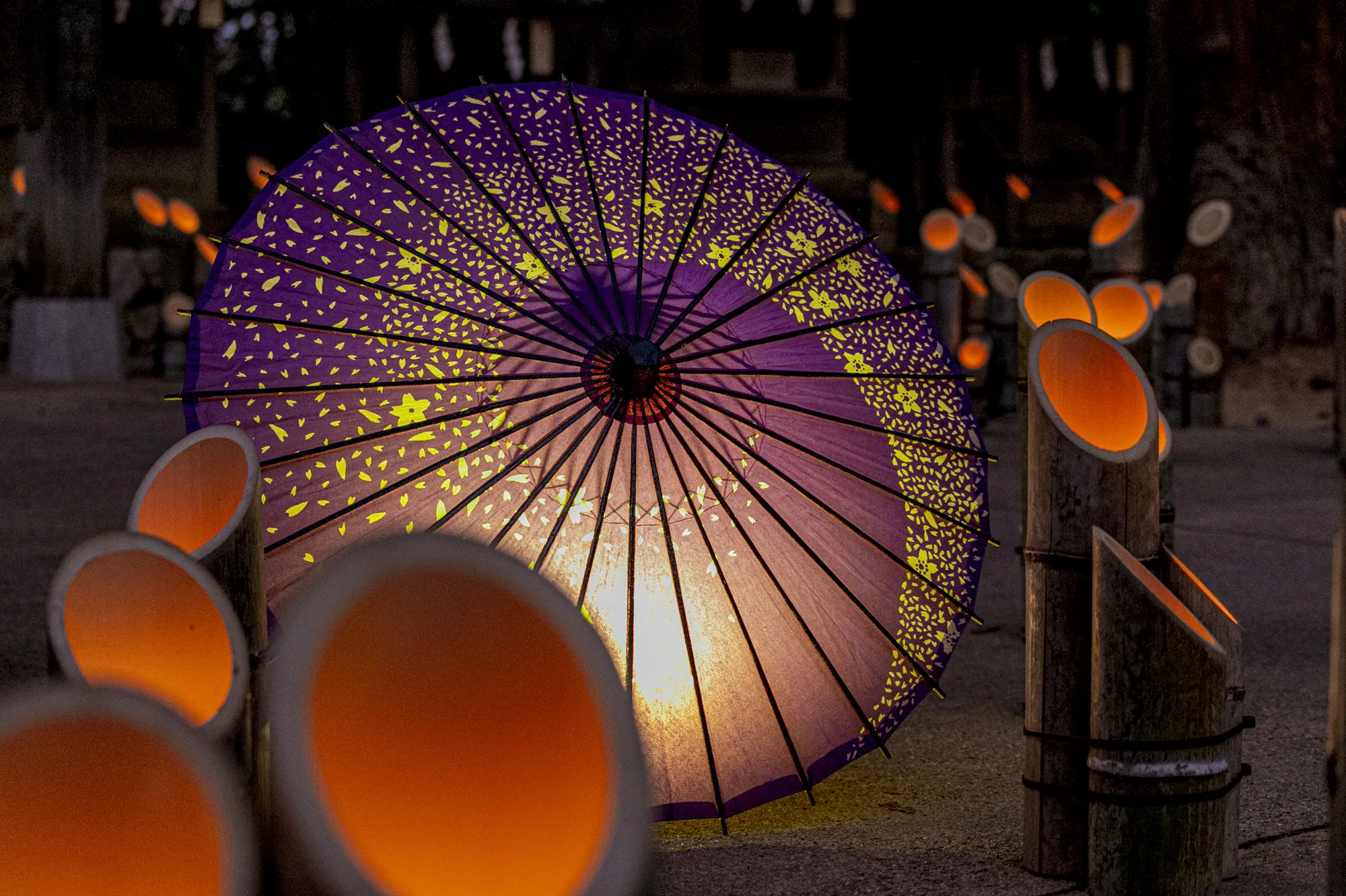 穂高神社 神竹灯