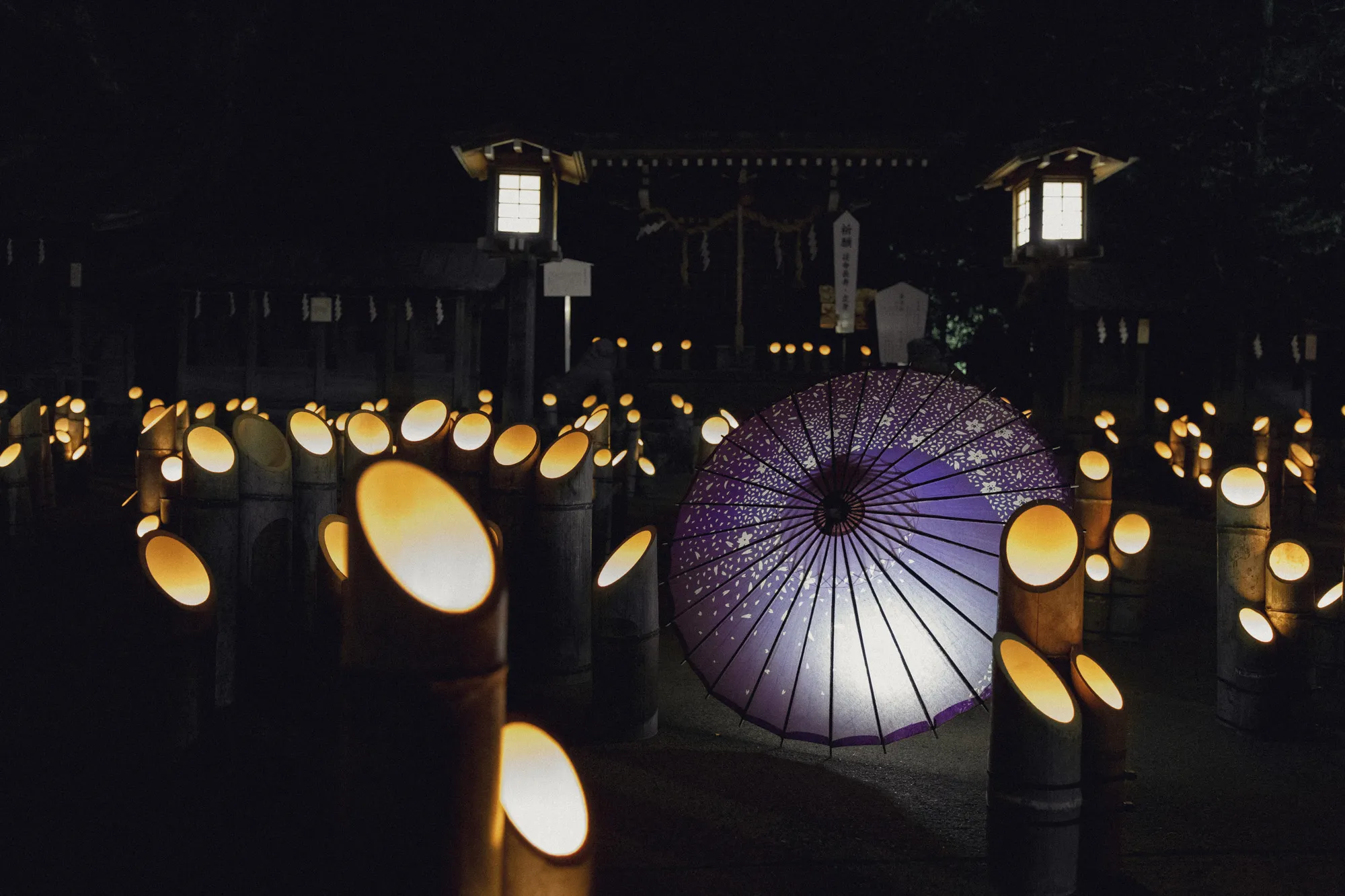 穂高神社 神竹灯