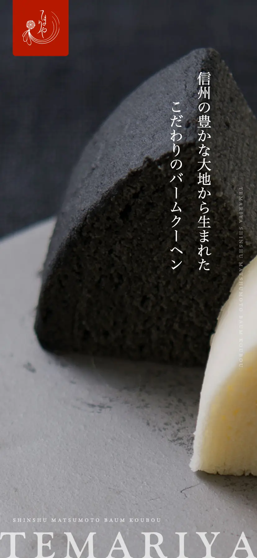 サイトデザインイメージ